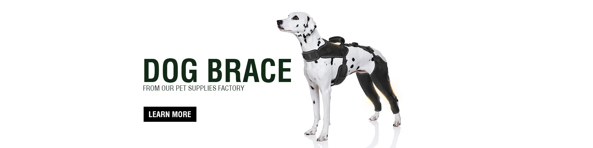 Dog Brace