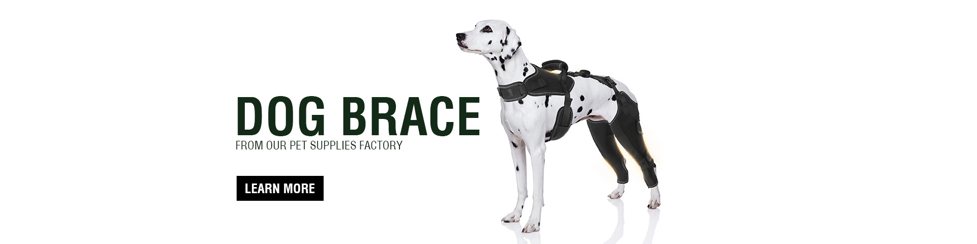 Dog Brace