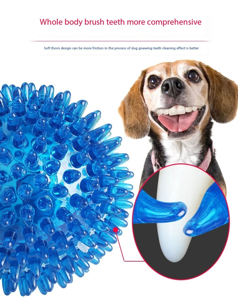 2.5 Inch Squeaky Dog Toy Balls Floating Dog Pool Balls 