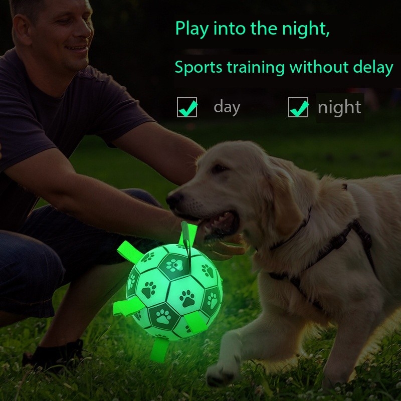 Outdoor Interactive Dog Toys Ball with Straps Glow in The Dark 
