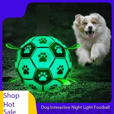 Outdoor Interactive Dog Toys Ball with Straps Glow in The Dark  02