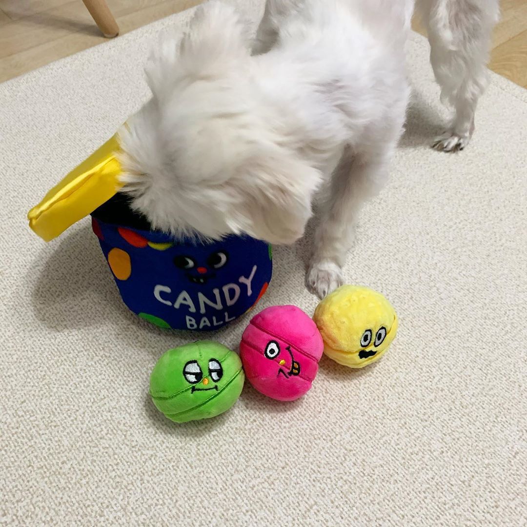 Smile Face Interactive TPR Dog Toys Ball Glow in The Dark 