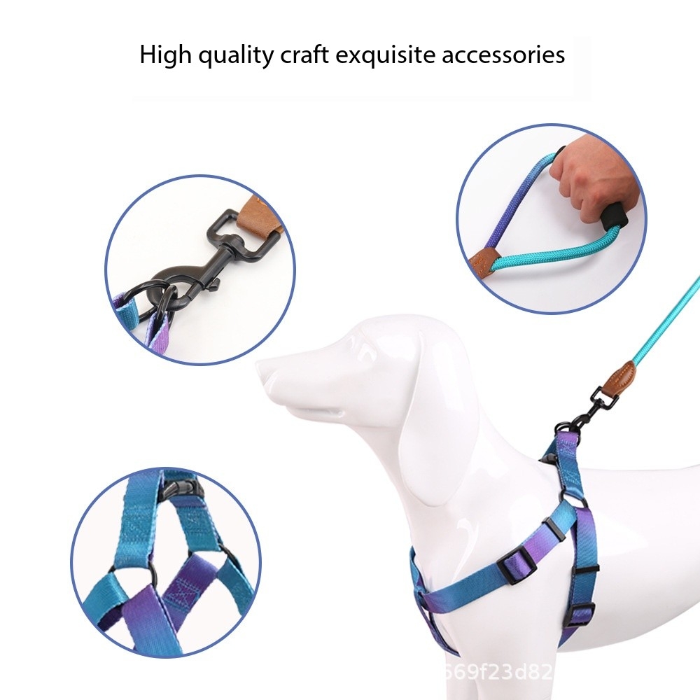 Gradient Soft Comfortable Small Dog Running and Walking Harness