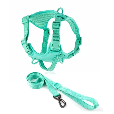 Neon Green Comfortable Small Running and Walking Harness 01