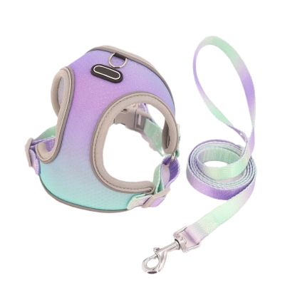 Reflective Adjustible Comfortable Small Dog Running and Walking Harness 01