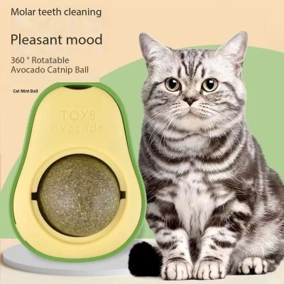 Avacado Catnip Balls for Wall Kitten Big Cat 02