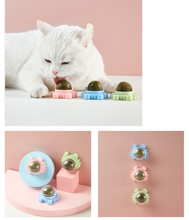 catnip balls for wall
