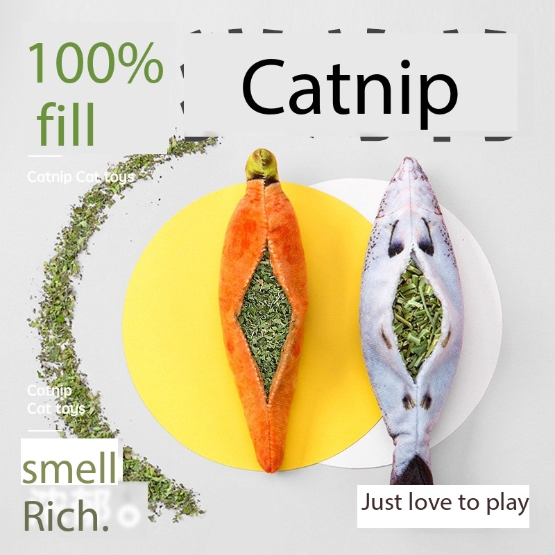 Fish Silvervine Refillable Catnip Toy Ball for Big Cat