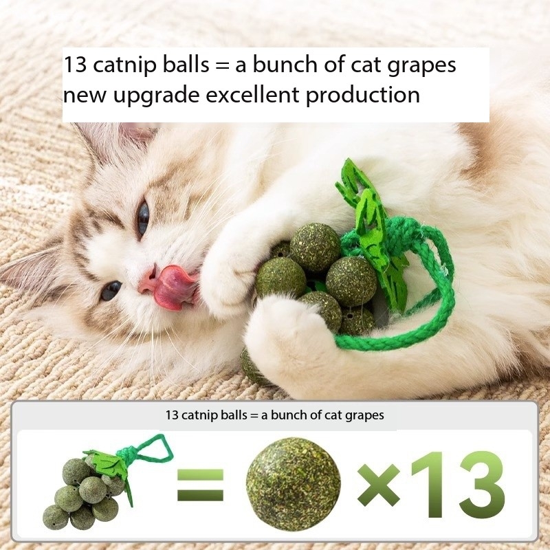Grape String Refillable Catnip Balls Toy for Kitten Big Cat