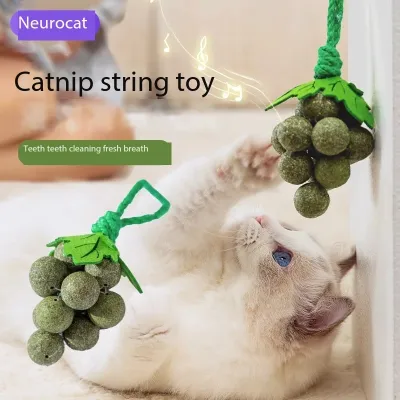 Grape String Refillable Catnip Balls Toy for Kitten Big Cat 02