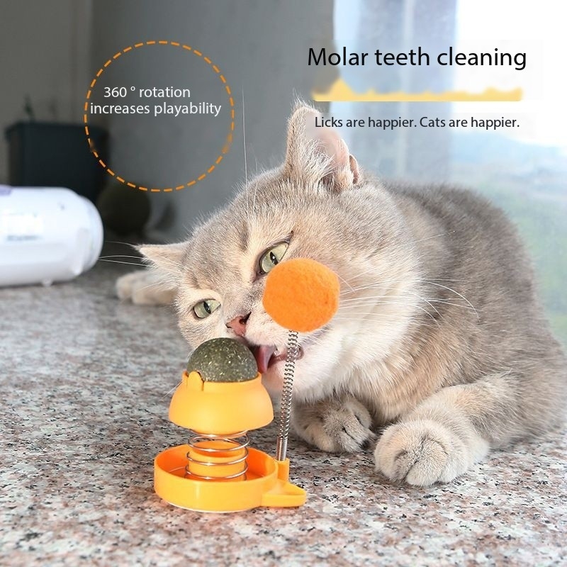 Shaking String Catnip Tumbler Catnip Ball Toy For Kitten Big Cat