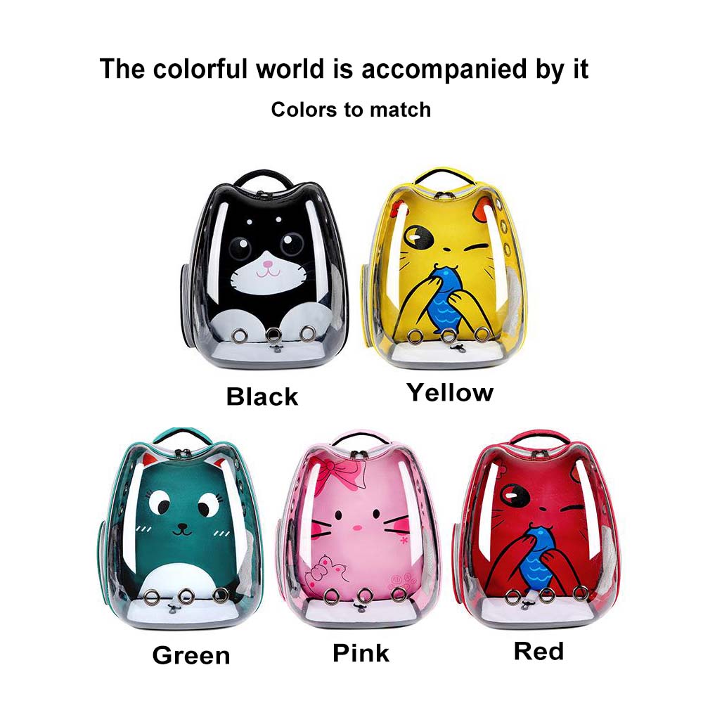 large carrier for cats