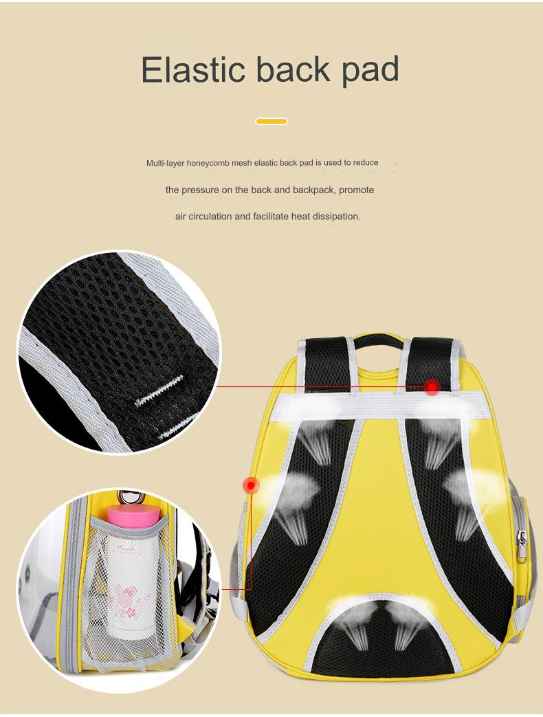 Cute Large Hard Airline Pet Carrier For Cat Dog And Small Pets