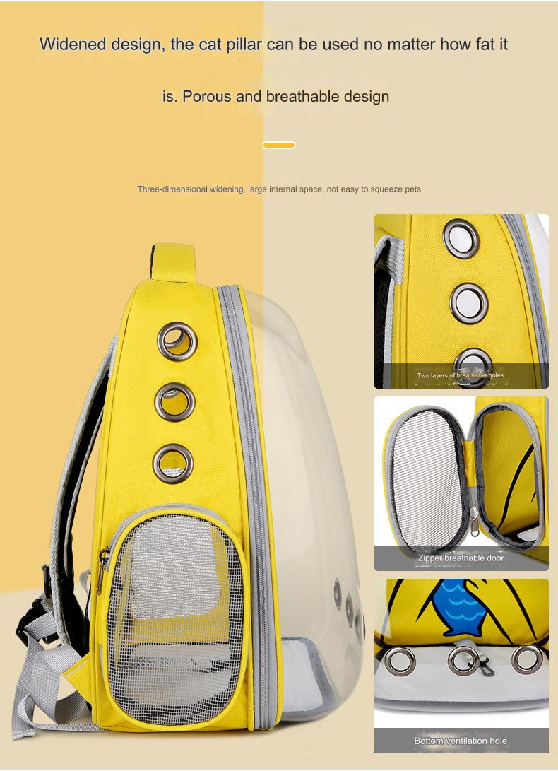 Cute Large Hard Airline Pet Carrier For Cat Dog And Small Pets