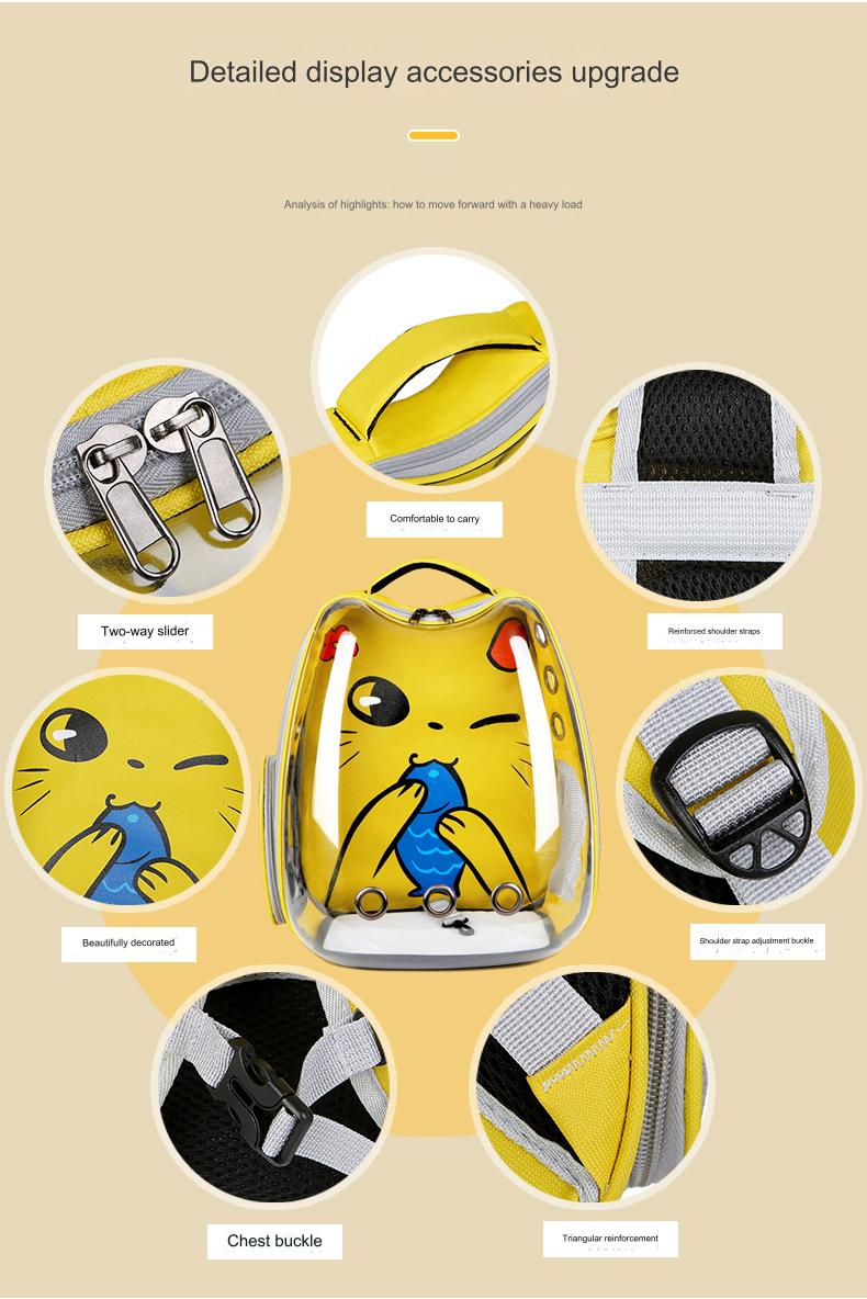 Cute Large Hard Airline Pet Carrier For Cat Dog And Small Pets