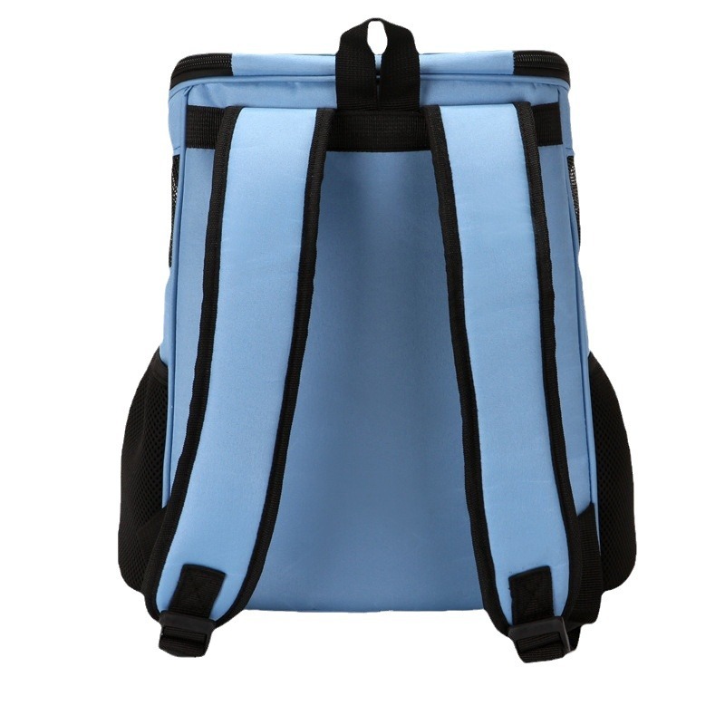 Dog Backpack Carrier with Breathable Mesh for Small Medium Cat Airline Approved