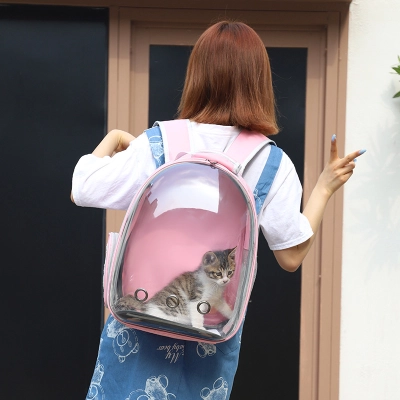 Transparent Airline Approved Dog Carrier Small Dog Bag For Walking 02