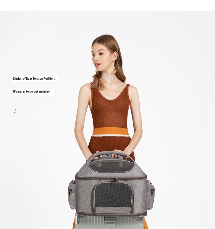 Classic Tote Bag Dog Carrier Small Dog Cat Bag For Walking