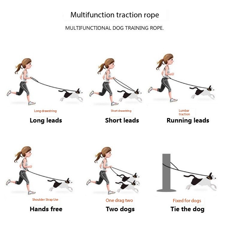 5 FT Dog Leash Handmade Braided Rope Dog Leash, Dog Training Leash, Walking leash for Cats or Dogs