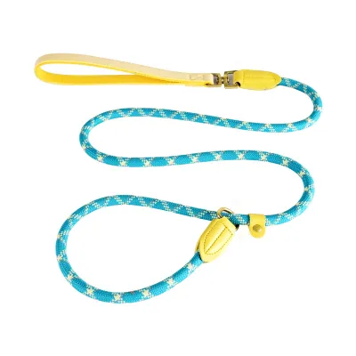 Explosion Proof Reflective Nylon Dog Leash, Dog Training Leash, Walking leash for Cats or Dogs 01