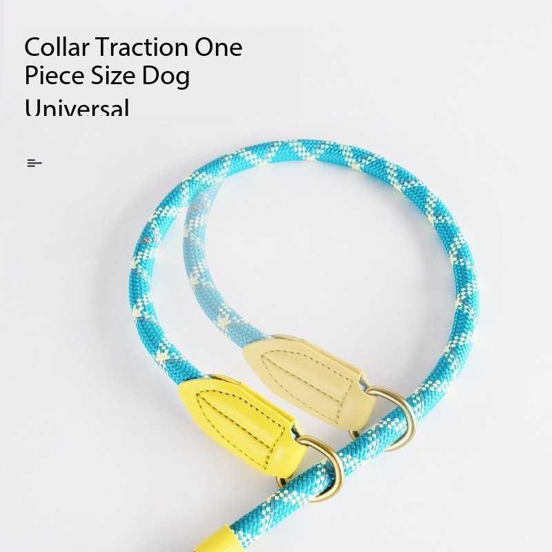 Explosion Proof Reflective Nylon Dog Leash, Dog Training Leash, Walking leash for Cats or Dogs