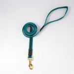 Intense Nylon Strong Climbing Rope Dog Leash Reflective For Walking