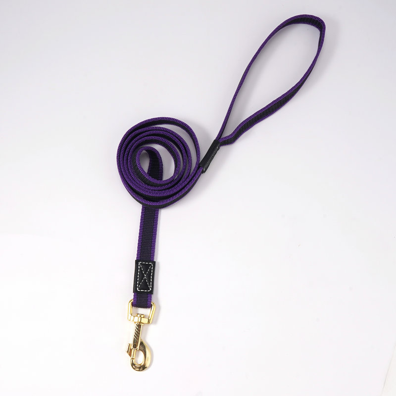 Intense Nylon Strong Climbing Rope Dog Leash Reflective For Walking