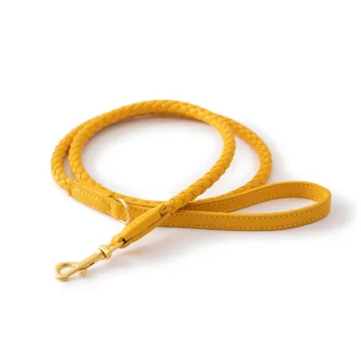 Leash for Small Dogs PU Leather Leash, Dog Training Leash, Walking leash for Cats or Dogs 01