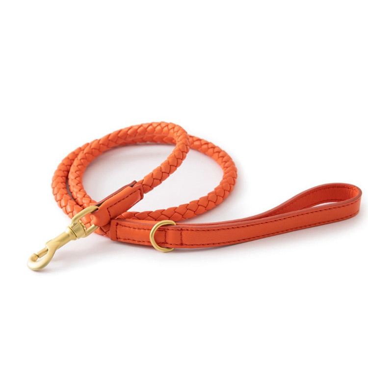 Leash for Small Dogs PU Leather Leash, Dog Training Leash, Walking leash for Cats or Dogs