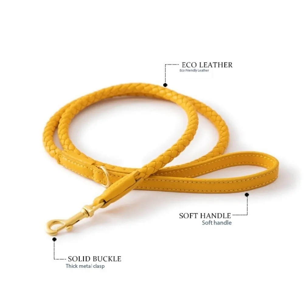 Leash for Small Dogs PU Leather Leash, Dog Training Leash, Walking leash for Cats or Dogs