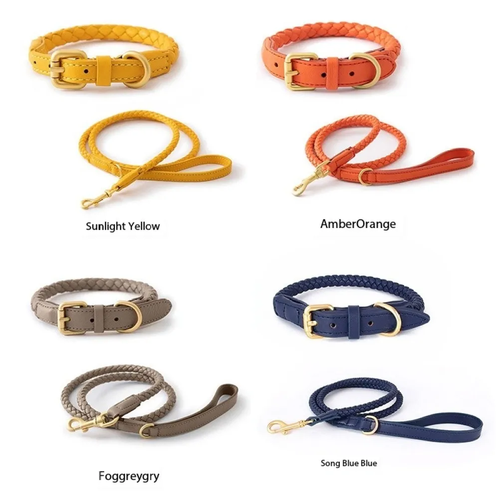 Leash for Small Dogs PU Leather Leash, Dog Training Leash, Walking leash for Cats or Dogs