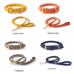 Leash for Small Dogs PU Leather Leash, Dog Training Leash, Walking leash for Cats or Dogs
