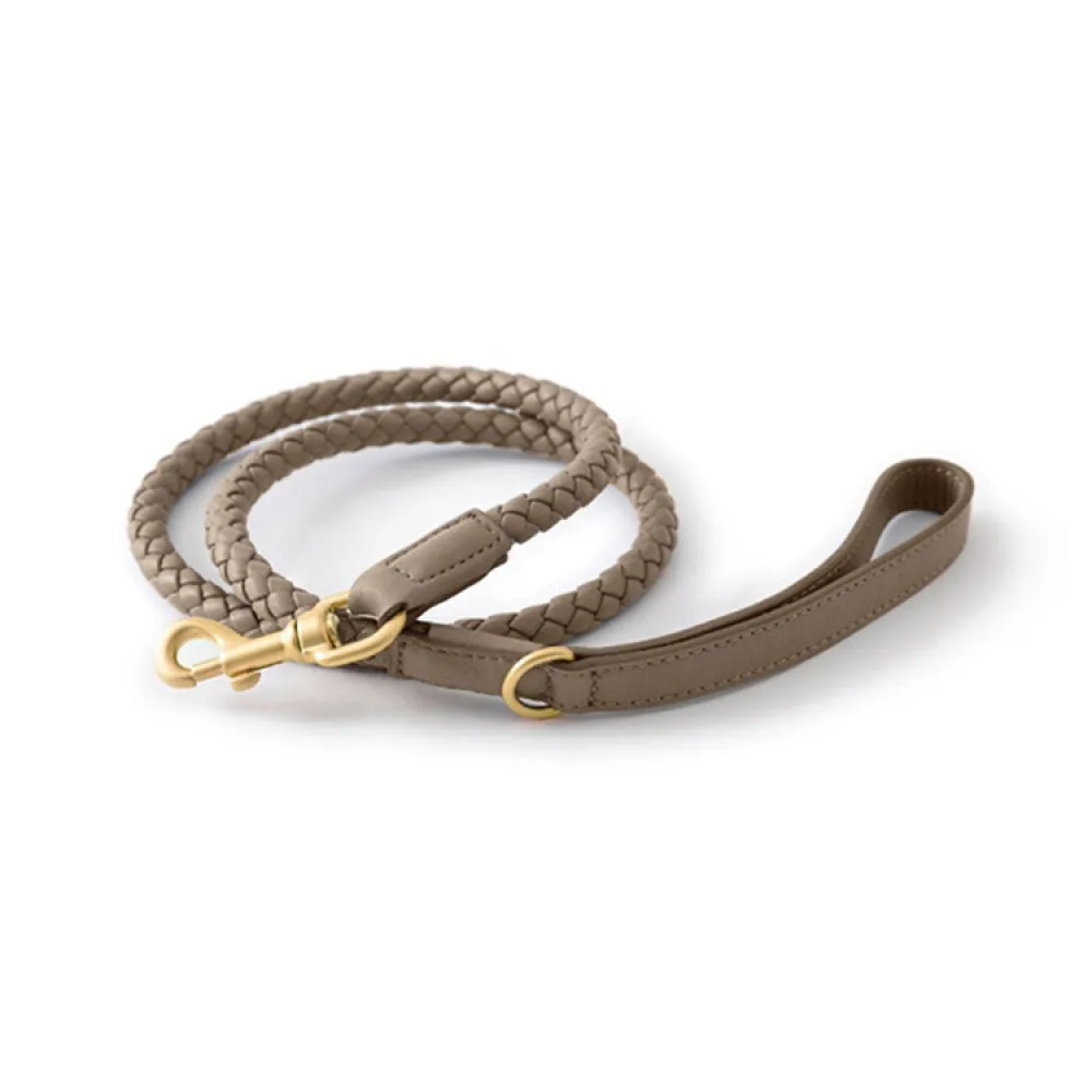 Leash for Small Dogs PU Leather Leash, Dog Training Leash, Walking leash for Cats or Dogs