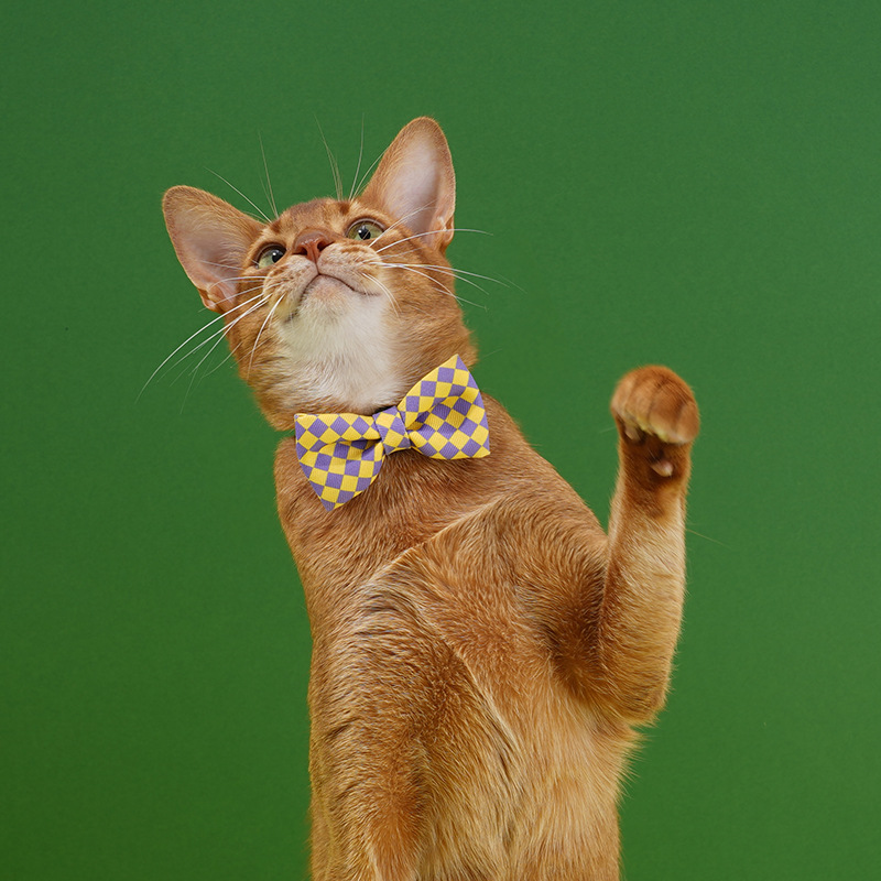Cotton Breakaway Cat Collars Bow Tie Quick Release Cat Collar