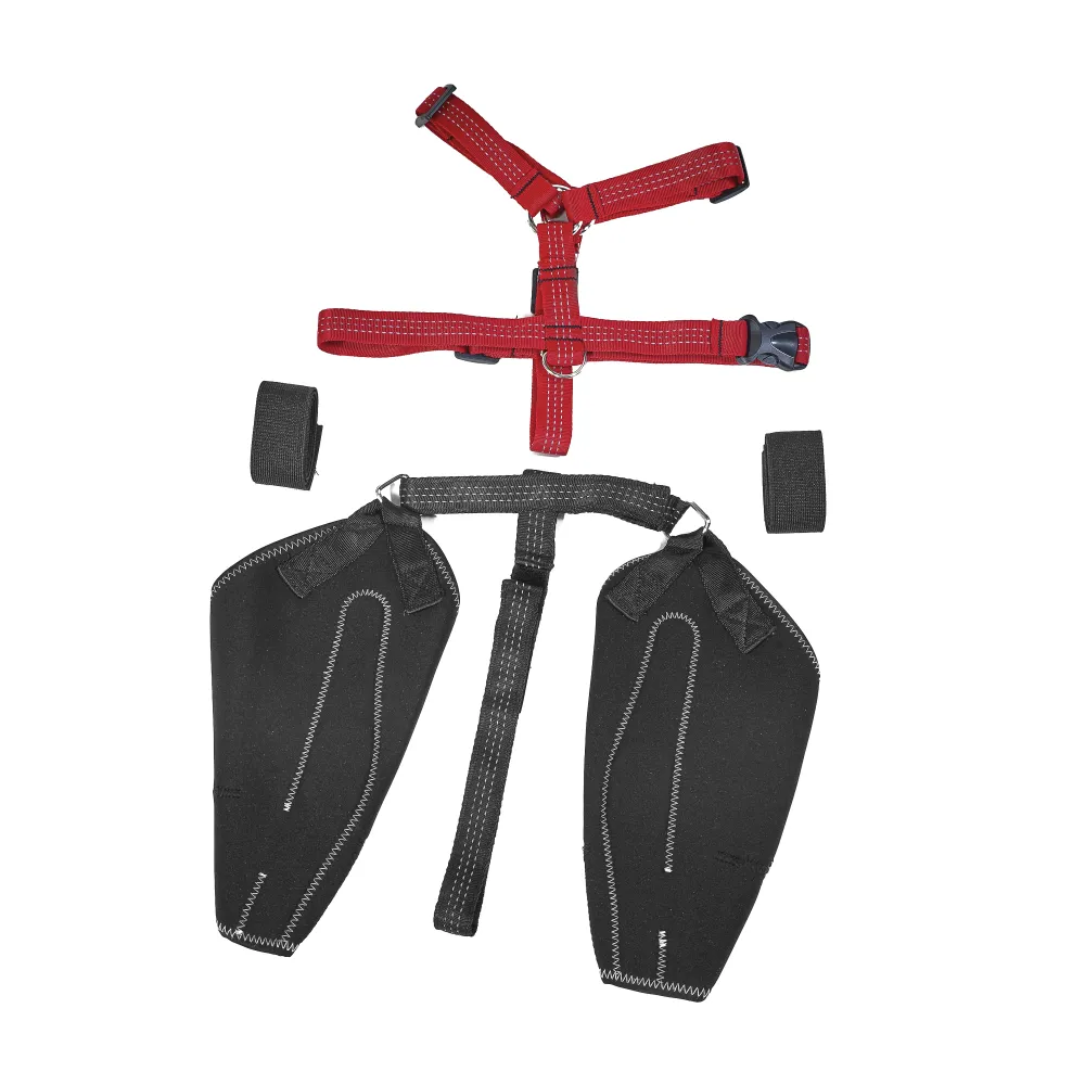 Red Canine Dog Hip Dysplasia Brace Support For Large Dogs