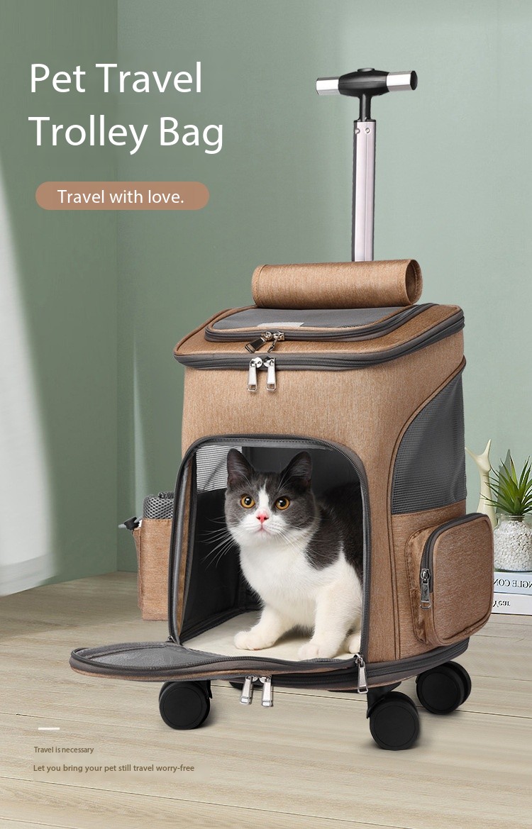Large Wicker Collapsible Cat Carrier for Travel Car Vehicle Auto