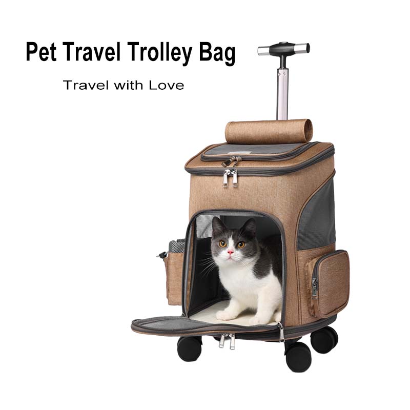 collapsible cat carrier