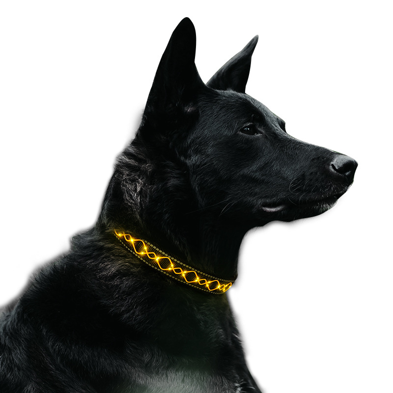 LED Light Up Dog Collar Training Dog Collar Glow In The Dark