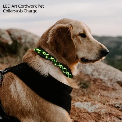 LED Light Up Dog Collar Training Dog Collar Glow In The Dark 02