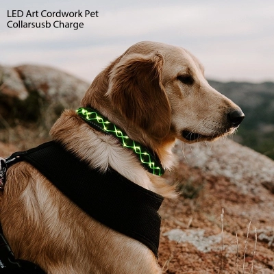 LED Light Up Dog Collar Training Dog Collar Glow In The Dark 02