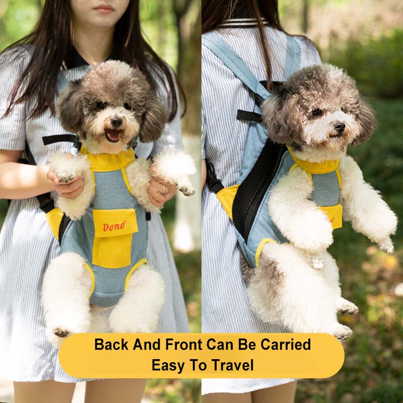 Best Round Folding Petluv Cat Carrier Chewy for Flying
