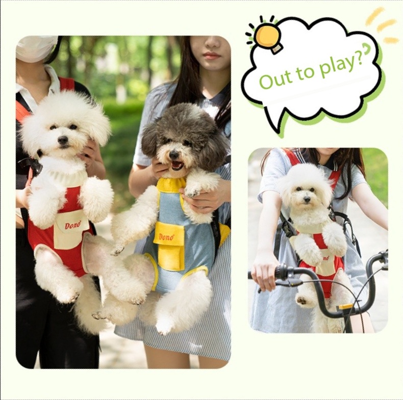 Best Round Folding Petluv Cat Carrier Chewy for Flying