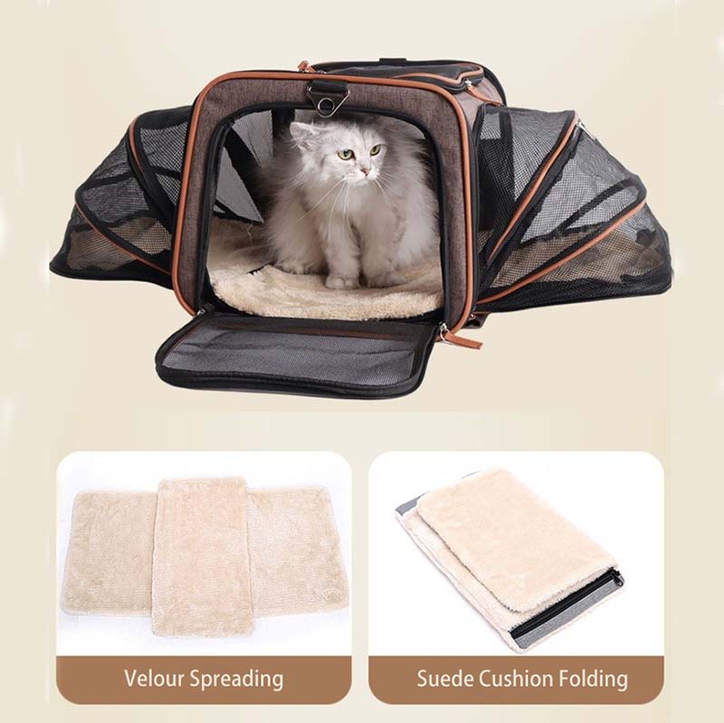 Emergency Triangle Rolling Sport Pet Cat Carrier Airline Approved