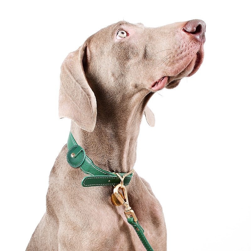 Leather Dog Tracking Collar With Airtag Holder For Large Dog