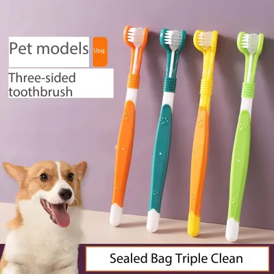 3-Sides Canine Toothbrush For Small Large Dog Dental Brush 02