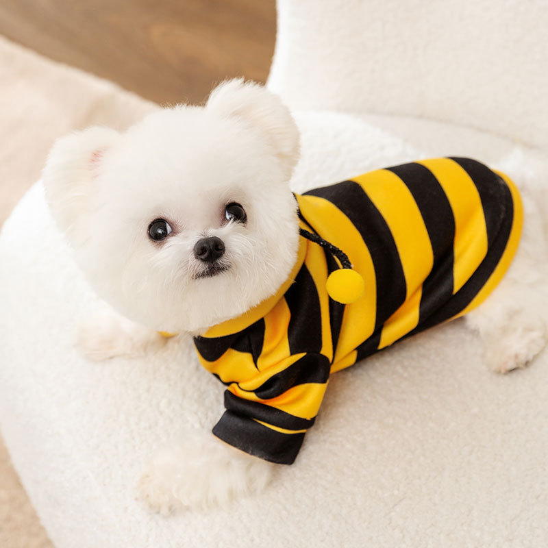 Cute Striped Bee Style Puppy Kitty Sweatshirt with Leash