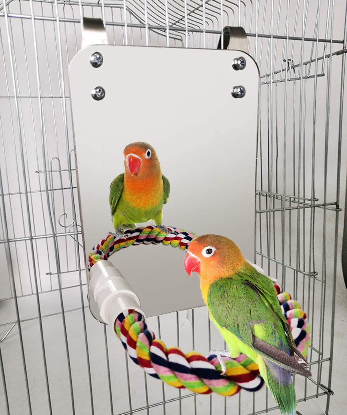 Large Antique Bird Mirror for Parrot cockatiels Parakeets