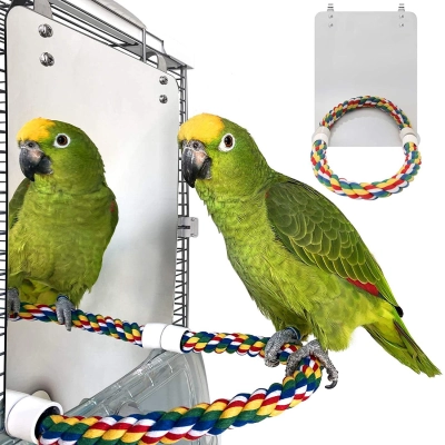 Large Antique Bird Mirror for Parrot cockatiels Parakeets 01