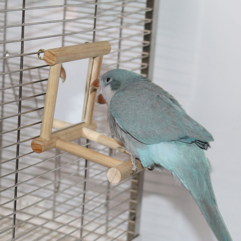 White Large Antique Wooden Bird Mirror for Parrot Cockatiels Parakeets