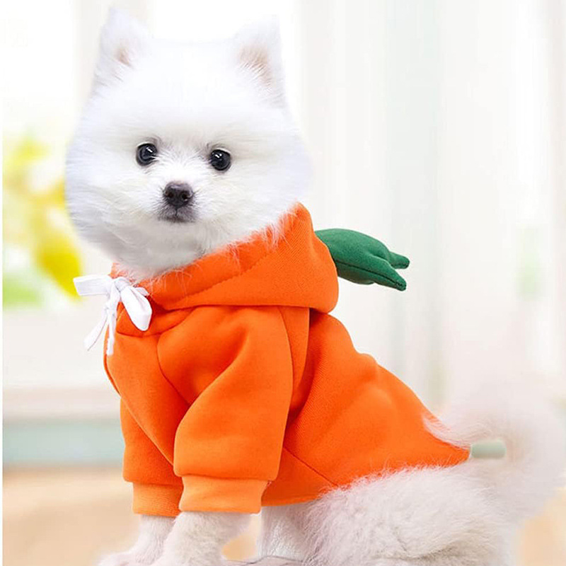 Pet Clothes Fruit-Shaped Small Sized Dogs Autumn and Winter Bright Hoodie